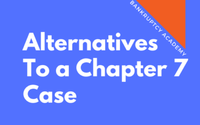 BK 105: Alternatives to a Chapter 7 Case