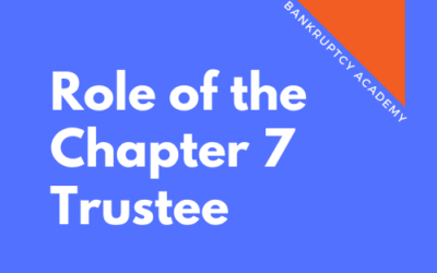 BK 108: Role of the Chapter 7 Panel Trustee