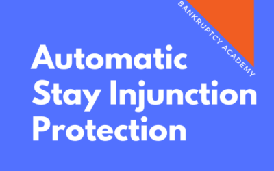 BK 110: The Automatic Stay