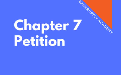 BK 112: Chapter 7 Petition