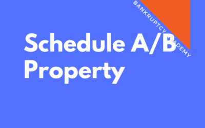 BK 113: Schedule A/B – Property