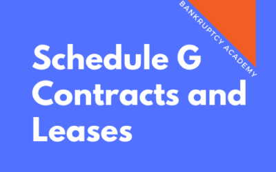 BK 117: Schedule G – Executory Contracts and Unexpired Leases
