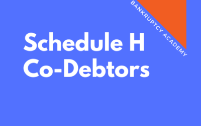 BK 118: Schedule H, Co-Debtors