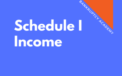 BK 119: Schedule I – Income