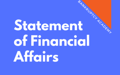 BK 123: Statement of Financial Affairs