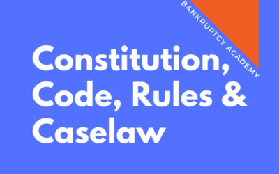 BK 102: Constitution, Statutes, Rules and Caselaw